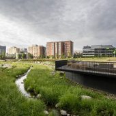 2024-hatsinanpuisto1